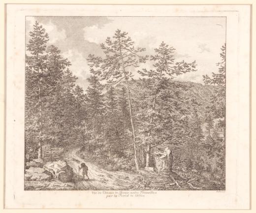 Vue du Chemin de Bienne contre Freinvillérs, par la Forést de l'Alloa by Hartmann Johann Joseph