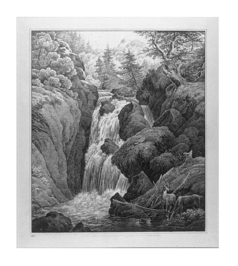 Wasserfall, im Vordergrund Rehgeiss und Rehbock by Ekeman-Alleson Lorenz